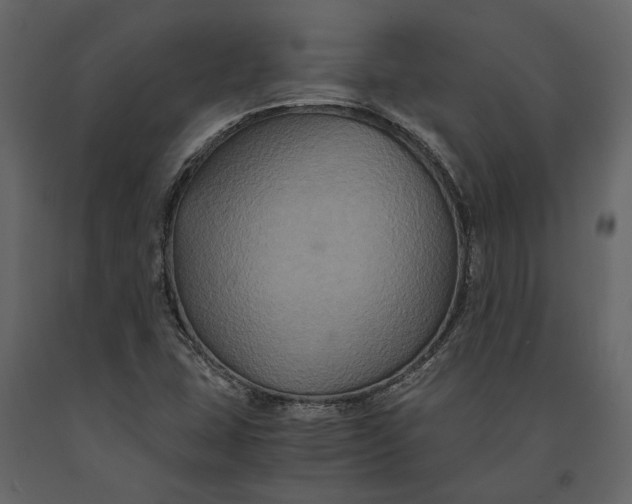 X0000091081407200708271227