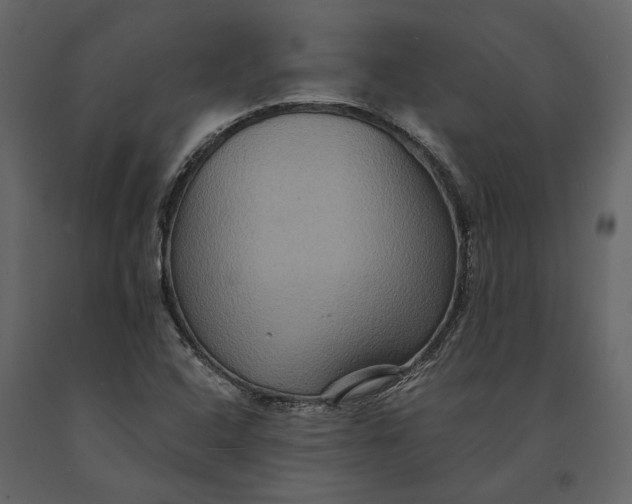 X0000091081408200708271227