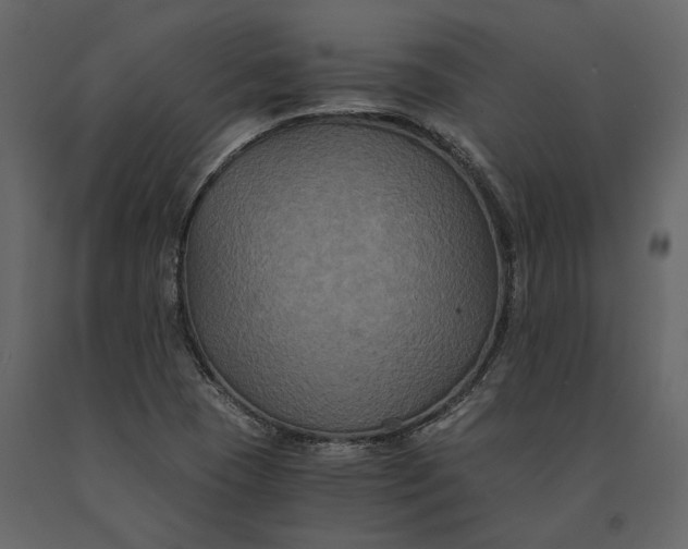 X0000091081409200708271227