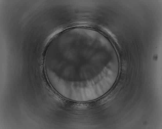 X0000091081411200708271227