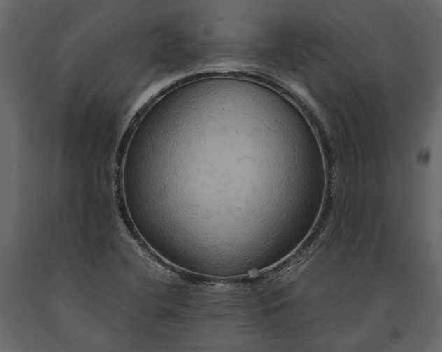 X0000091081412200708271227