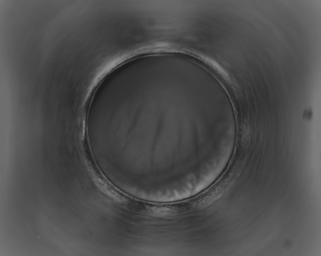 X0000091081413200708271227