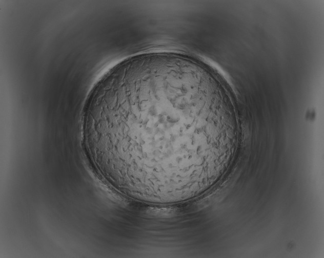 X0000091081415200708271227