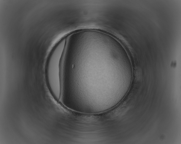 X0000091081416200708271227