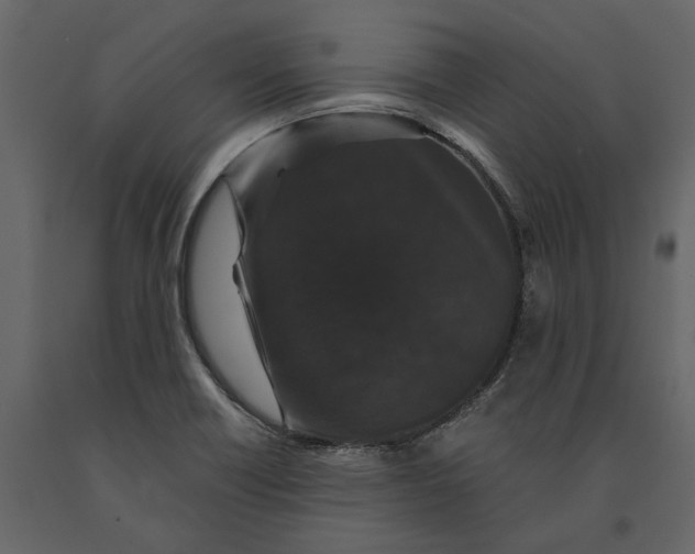 X0000091081418200708271227