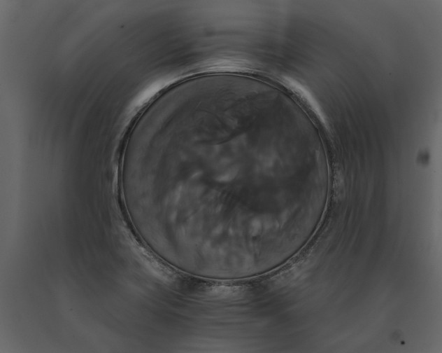 X0000091081419200708271227