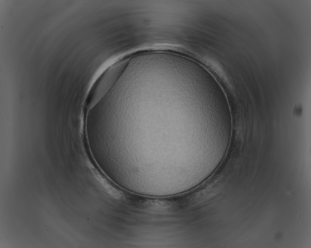 X0000091081420200708271227