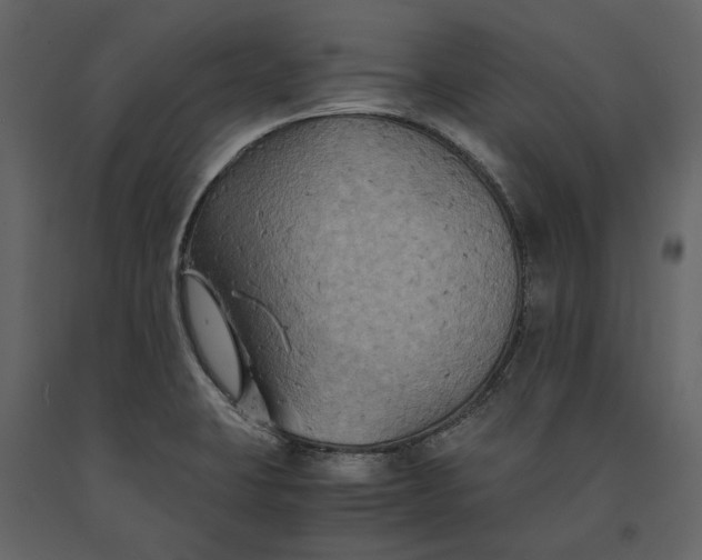 X0000091081423200708271227