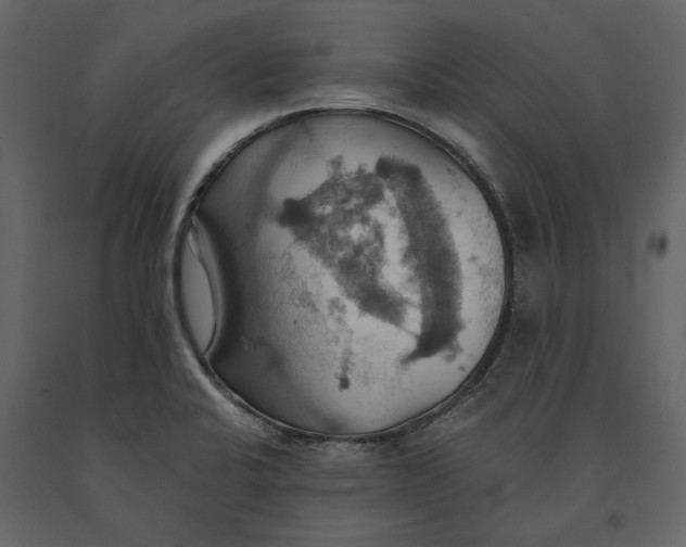 X0000091081424200708271227