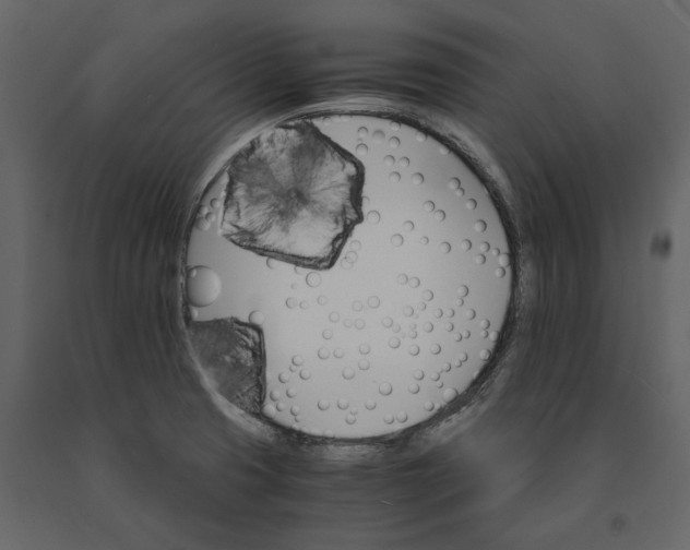 X0000091081425200708271227