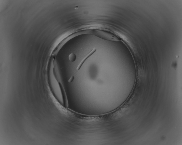 X0000091081426200708271227