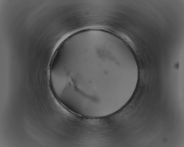 X0000091081428200708271227