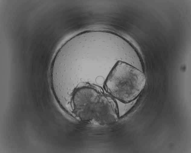 X0000091081429200708271227