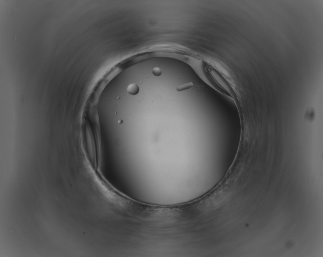 X0000091081430200708271227