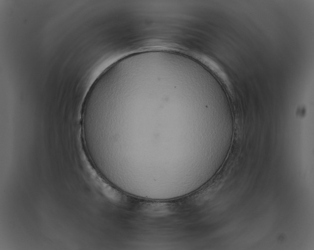 X0000091081431200708271227