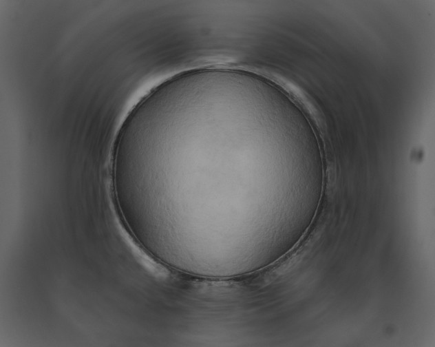 X0000091081432200708271227