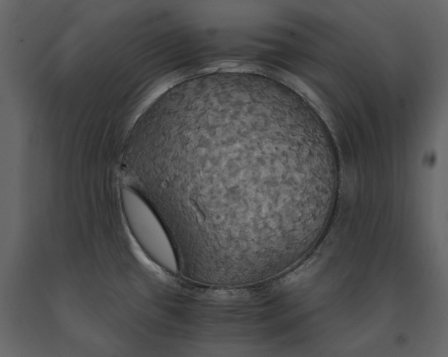 X0000091081433200708271227