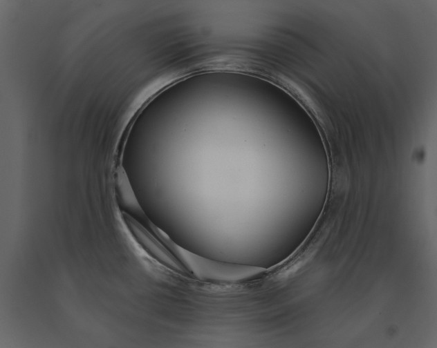 X0000091081434200708271227