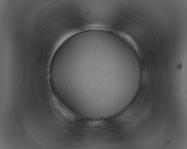 X0000091081435200708271227