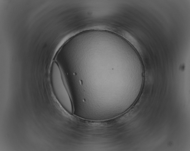 X0000091081436200708271227