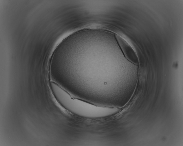 X0000091081437200708271227