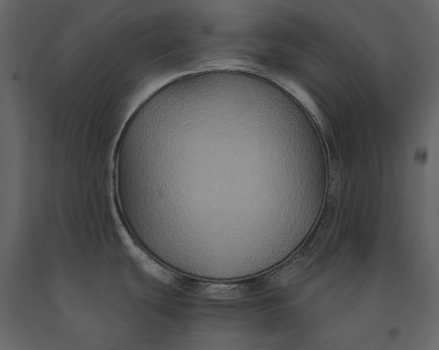 X0000091081439200708271227