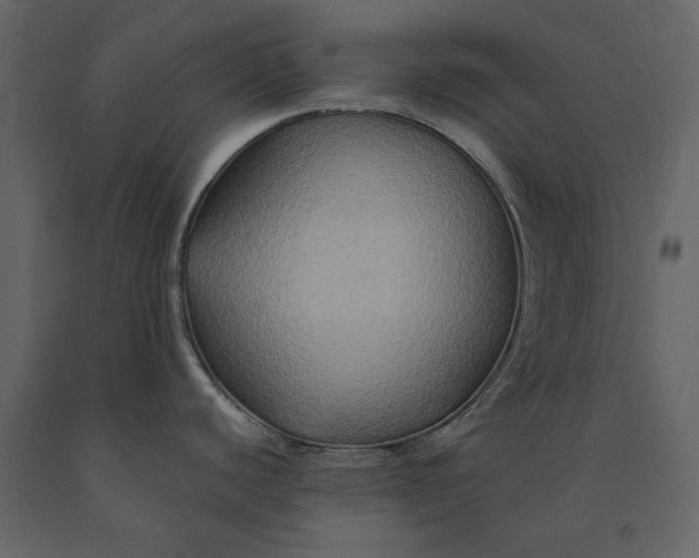 X0000091081440200708271227