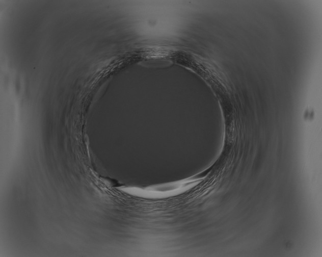 X0000091081441200708271226