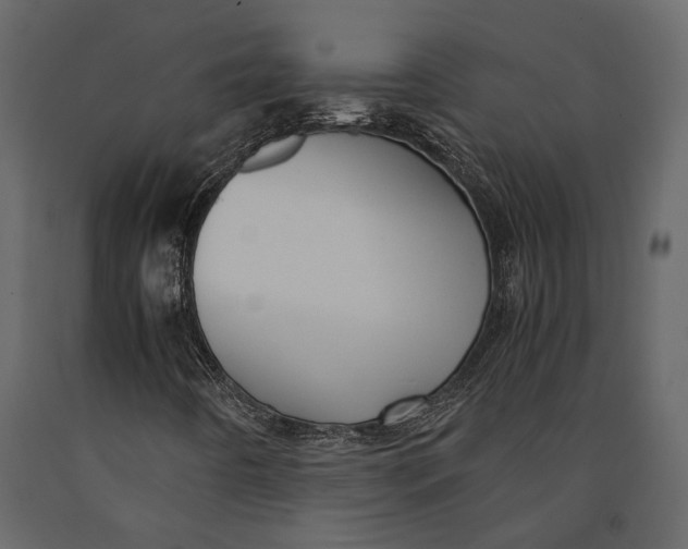 X0000091081442200708271226