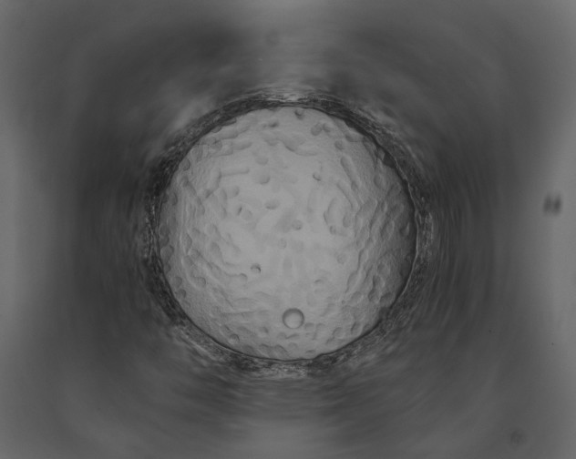 X0000091081446200708271226