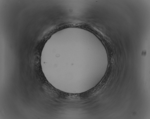 X0000091081447200708271226