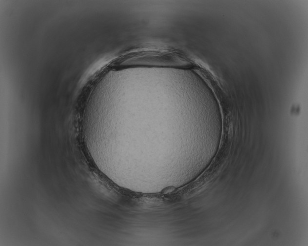 X0000091081448200708271226