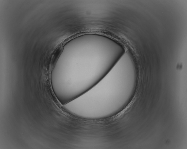 X0000091081449200708271226