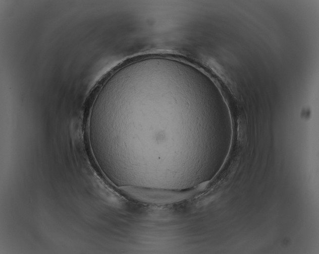 X0000091081452200708271226