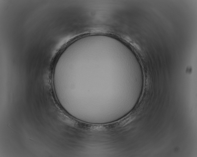 X0000091081454200708271226