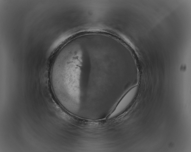 X0000091081456200708271226