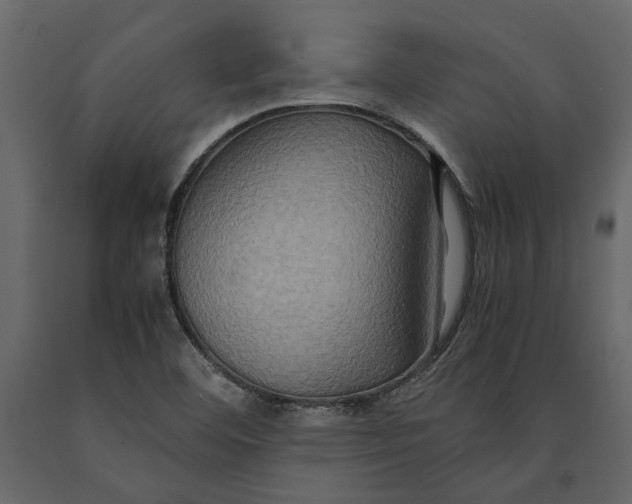 X0000091081460200708271226