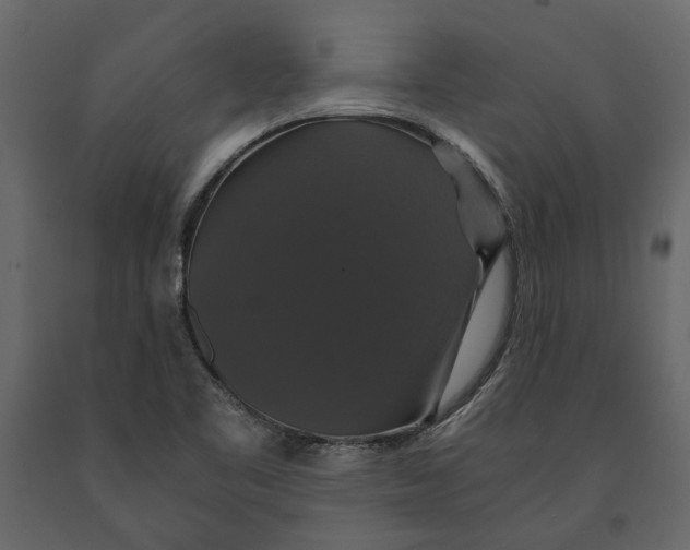 X0000091081461200708271226