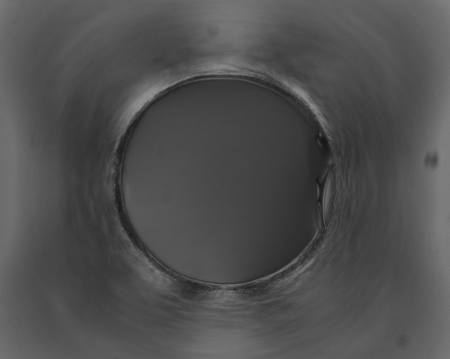 X0000091081463200708271226