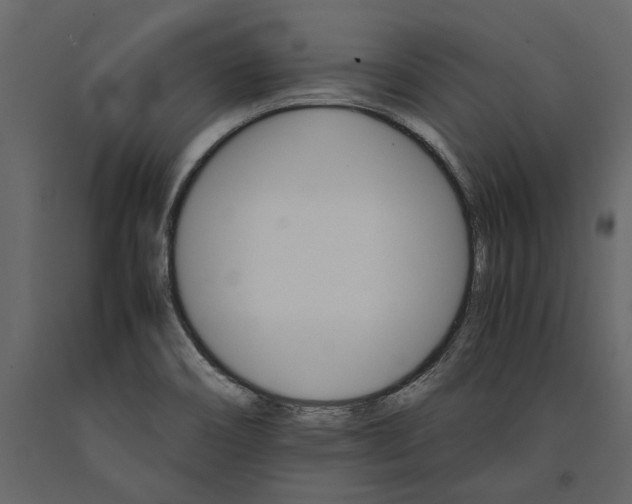 X0000091081466200708271226