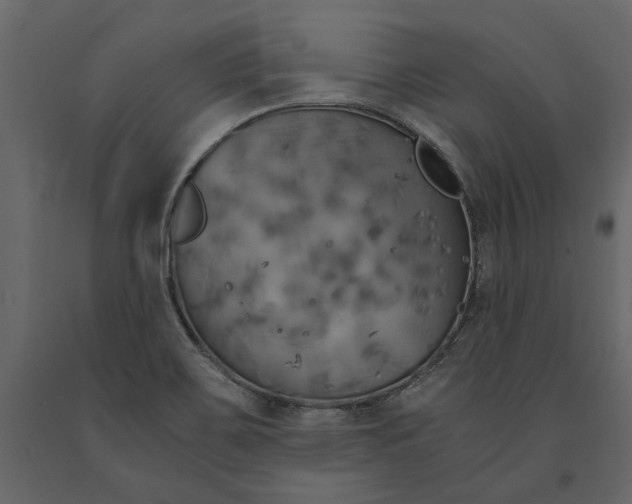 X0000091081467200708271226