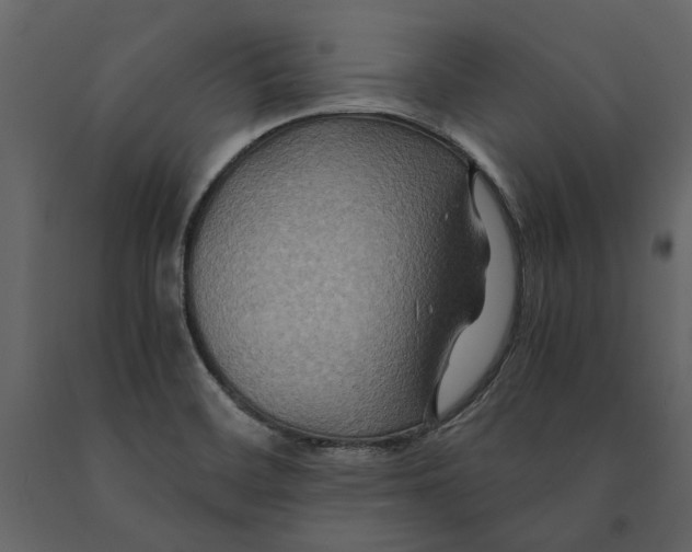 X0000091081468200708271226