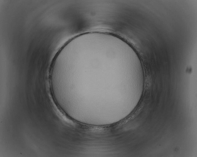 X0000091081470200708271226