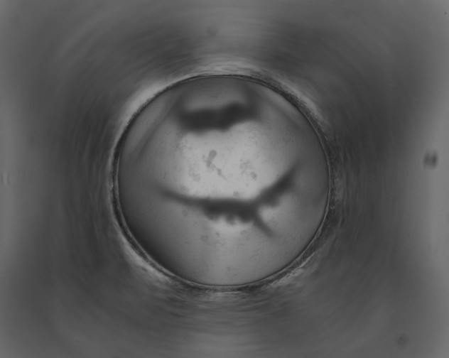 X0000091081471200708271226