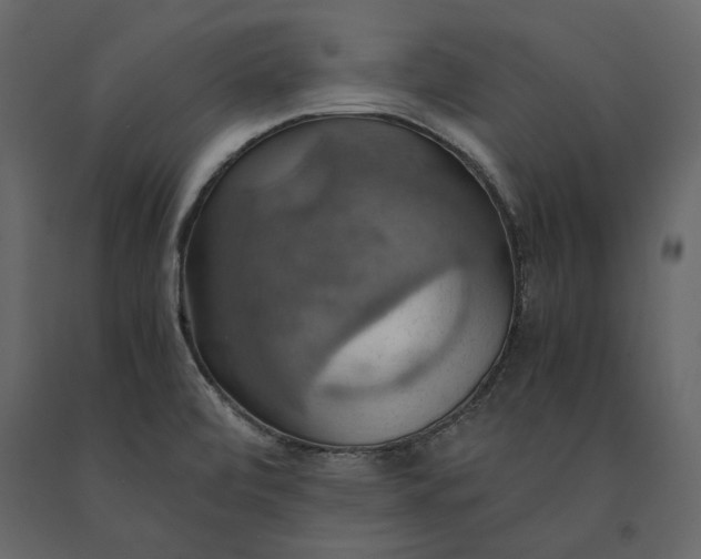 X0000091081472200708271226