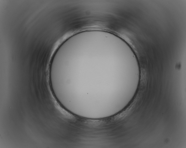 X0000091081474200708271226