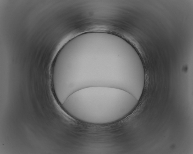 X0000091081475200708271226