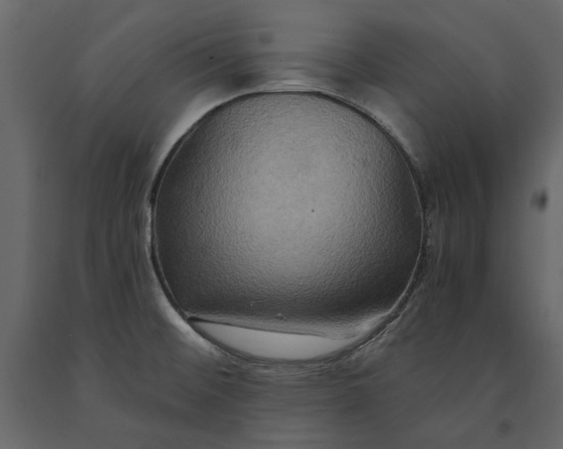 X0000091081476200708271226