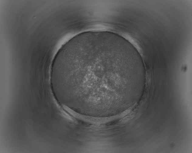 X0000091081477200708271226