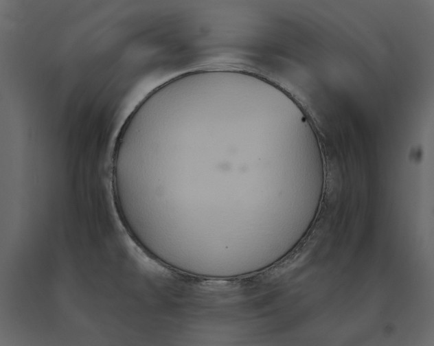 X0000091081478200708271226